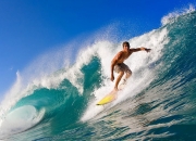 开云体育APP下载-2026世界杯历史重演，德容闪耀全场，厄瓜多尔战术压制塞尔维亚